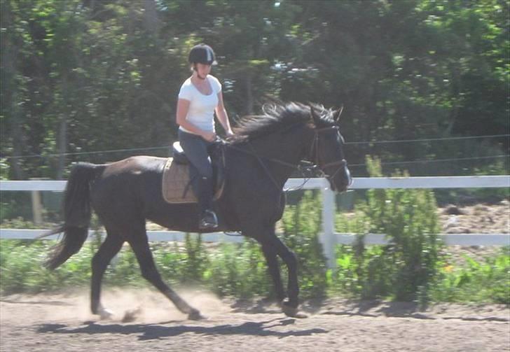 Kvinde Christine - Casey og jeg billede 4
