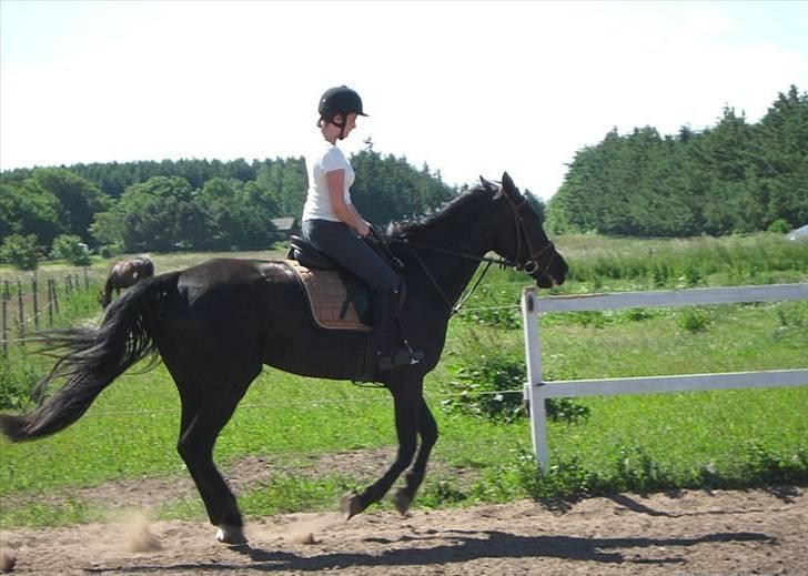 Kvinde Christine - Casey og jeg billede 7
