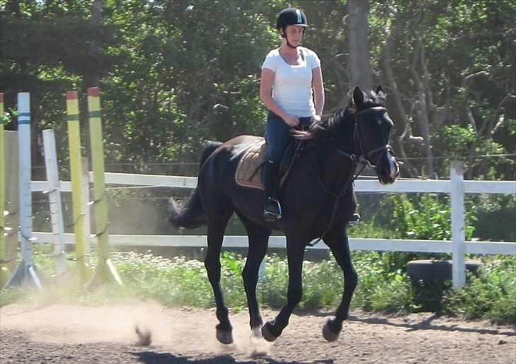Kvinde Christine - Casey og jeg  billede 9