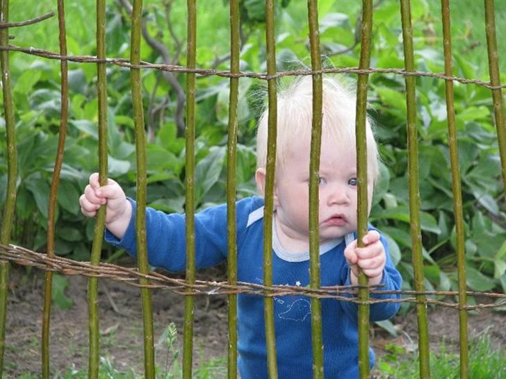 Mand Dan Andersen billede 13