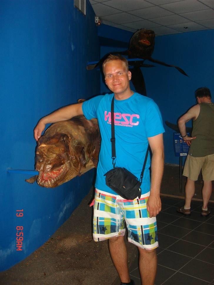 Mand Peter billede 6