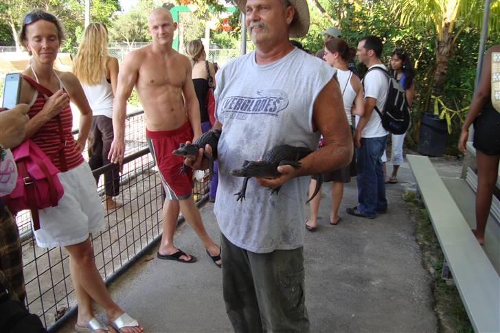 Mand karsten billede 12