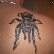 Mand Michael Porsmose