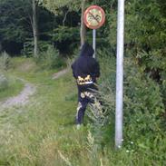 Mand tobias daugaard ;)