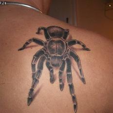 Mand Michael Porsmose