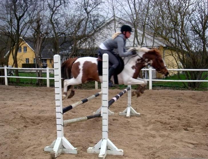 Kvinde catrine. - fordi vi kan :-D billede 4