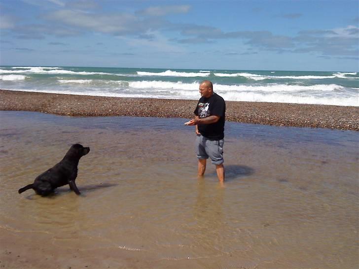Mand jensen - min lille hund og jeg billede 4
