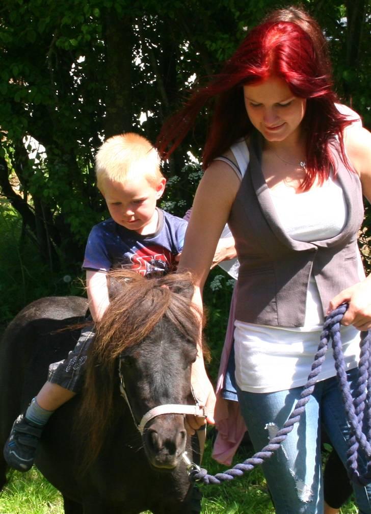 Kvinde Frk. Christensen - Min lillebror Tobias på snart 4 år på min miniature Mokka :) <3 billede 16