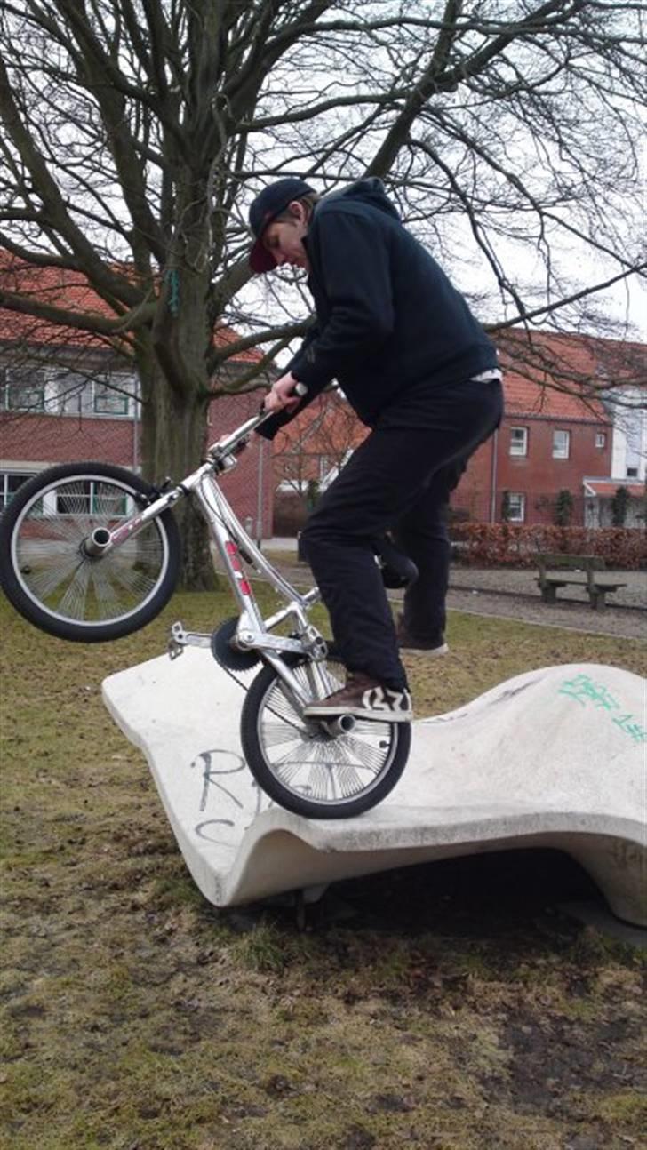 Mand Delle dennis b - ja jeg skulle lige prøve og stå der op med min bmx  billede 3