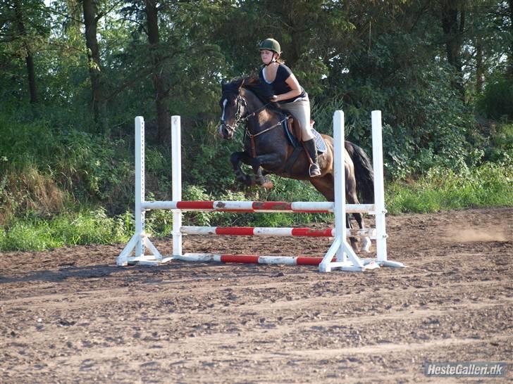 Kvinde Annekathrine billede 4