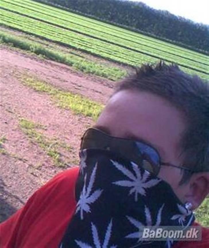 Mand Michael H. billede 11