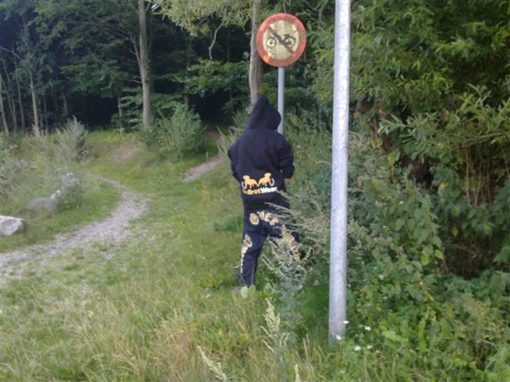 Mand tobias daugaard ;) billede 4