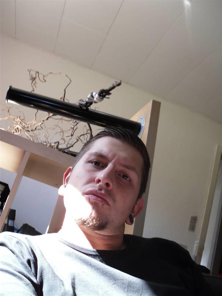 Mand Martin billede 6