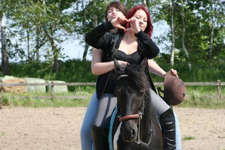 Kvinde Julie - Forår 2010 billede 5