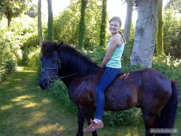 Kvinde Annika - mig og min hest  billede 4