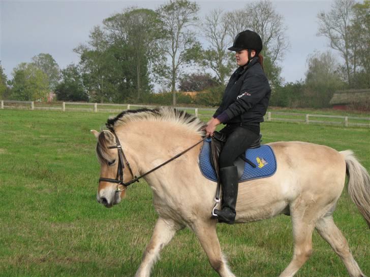 Kvinde Annika - mig og min anden hest billede 11