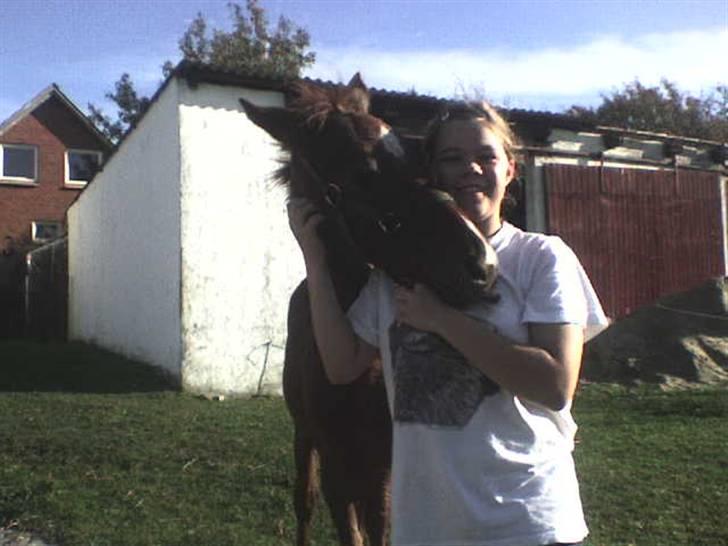 Kvinde anni - hygge tur ude ved hesten   i love hores billede 7