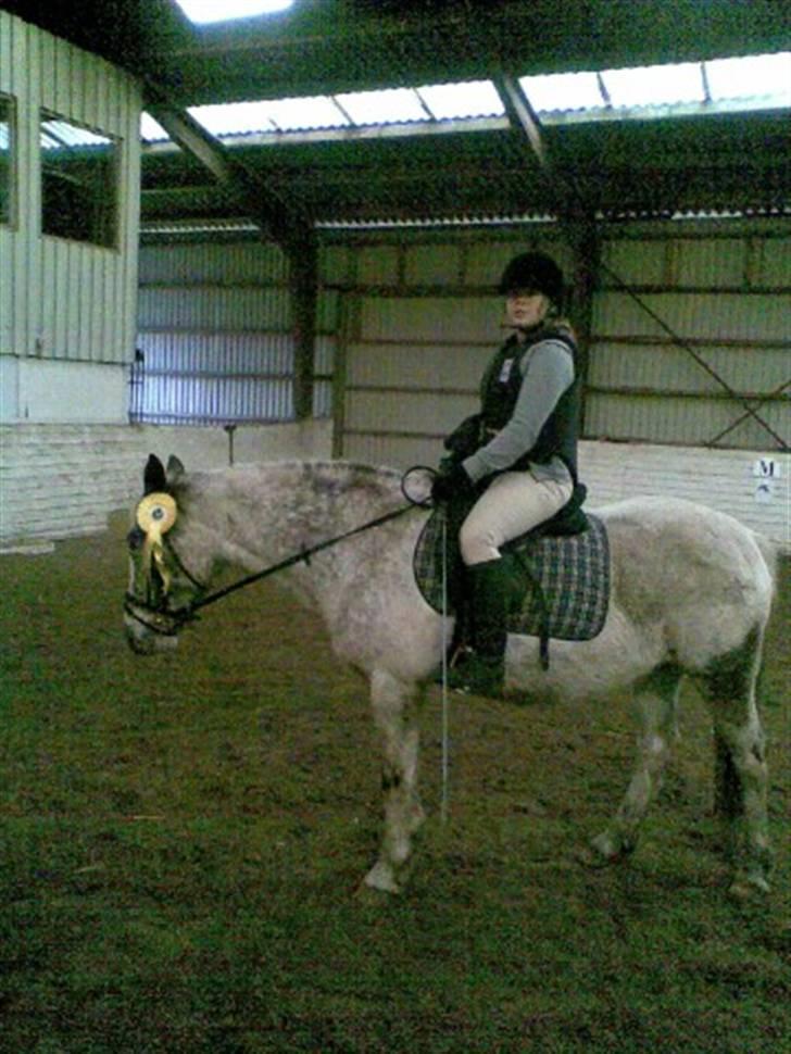 Kvinde anni - til ride stævne i aars ride klub billede 8
