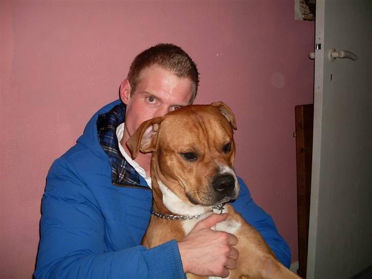 Mand Tvile <3 billede 1