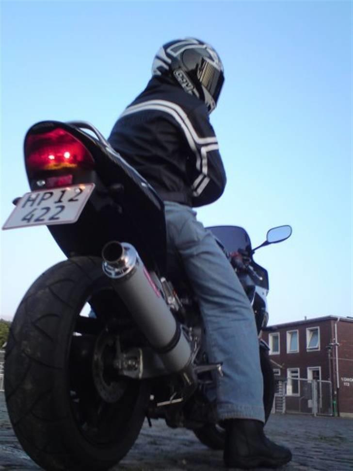 Mand Rasmus billede 5