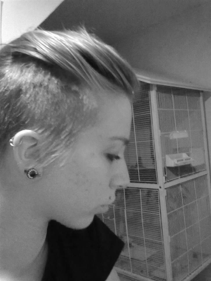 Kvinde Franciska billede 15