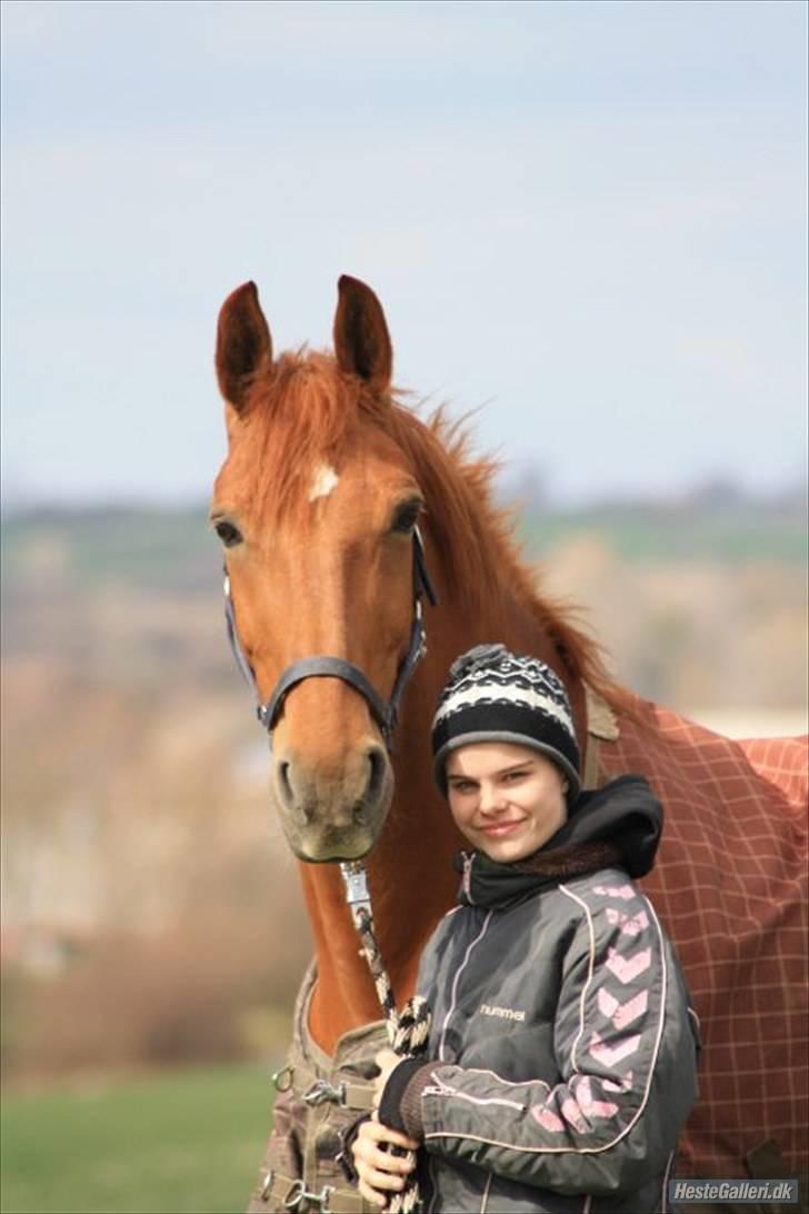 Kvinde Mig selv  - R.I.P. Mon Cheri,. (min egen hest jeg nået at have i 2 måneder) billede 8