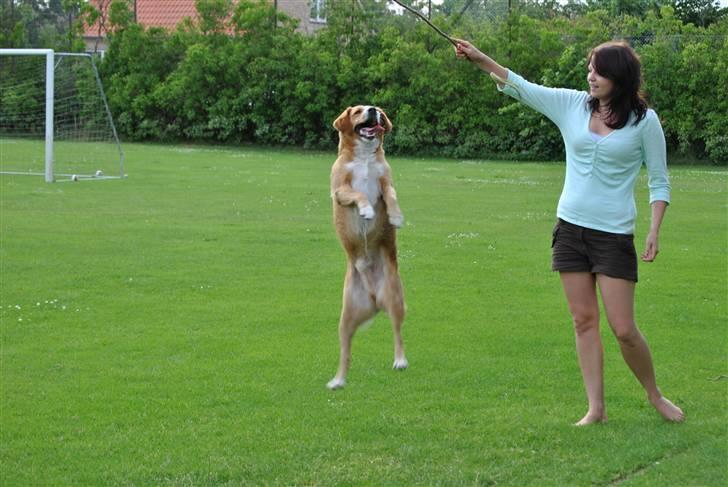 Kvinde Freja billede 4