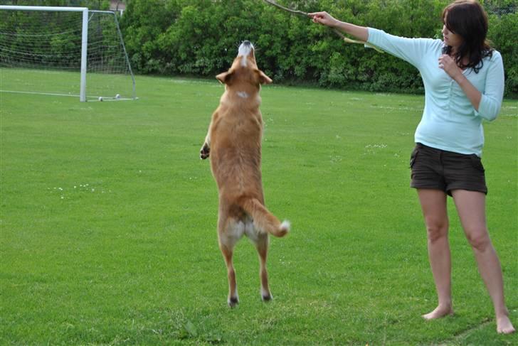 Kvinde Freja billede 5