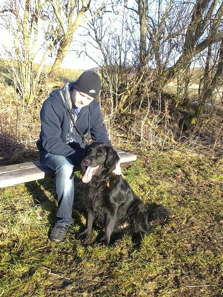 Mand Daniel vandet billede 1