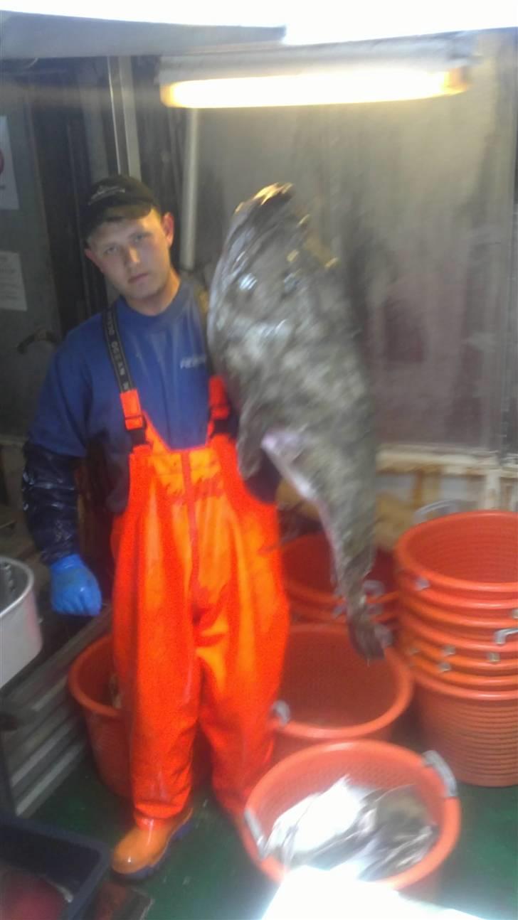 Mand Daniel vandet billede 10