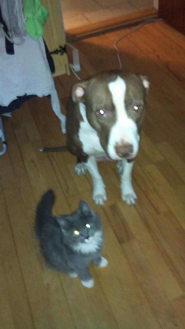 Kvinde Bettina (: - <3 billede 11