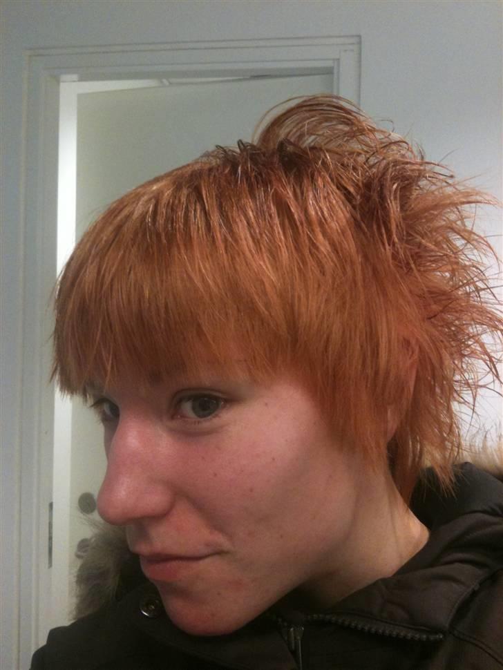 Kvinde Charlotte - mig
 billede 1