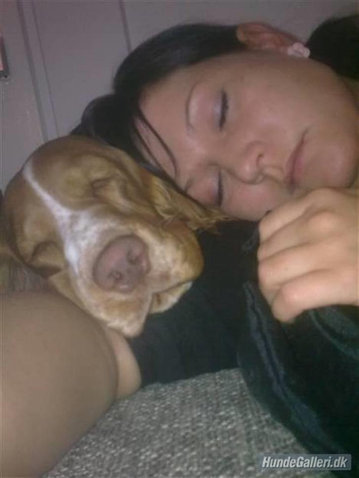 Kvinde Mette billede 8