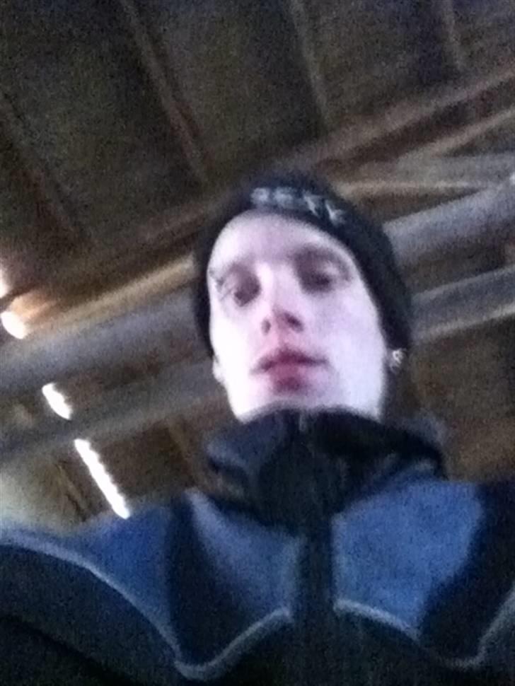 Mand BJØRN  billede 3