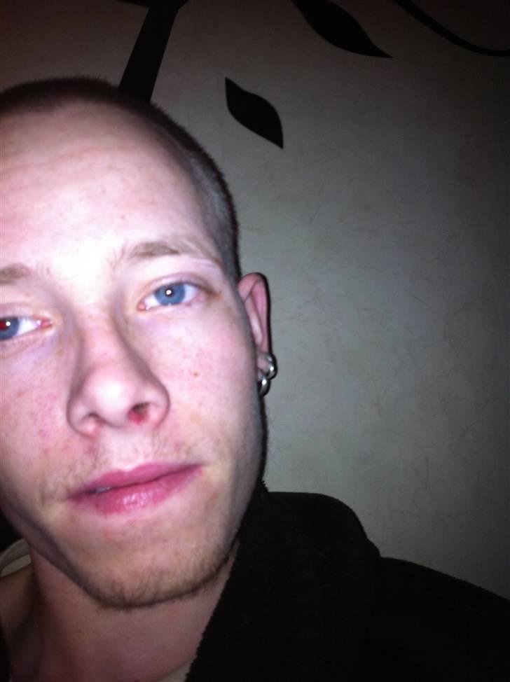 Mand BJØRN  billede 5