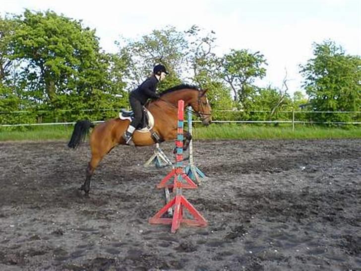 Kvinde Line Emilie billede 6