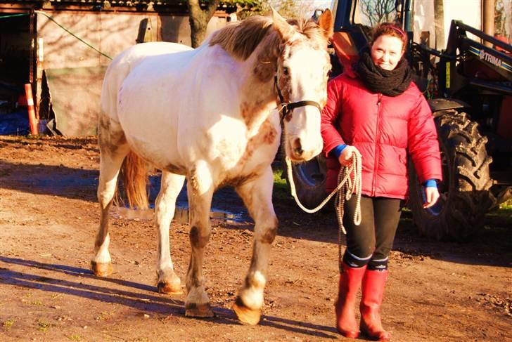 Kvinde Line Emilie billede 7