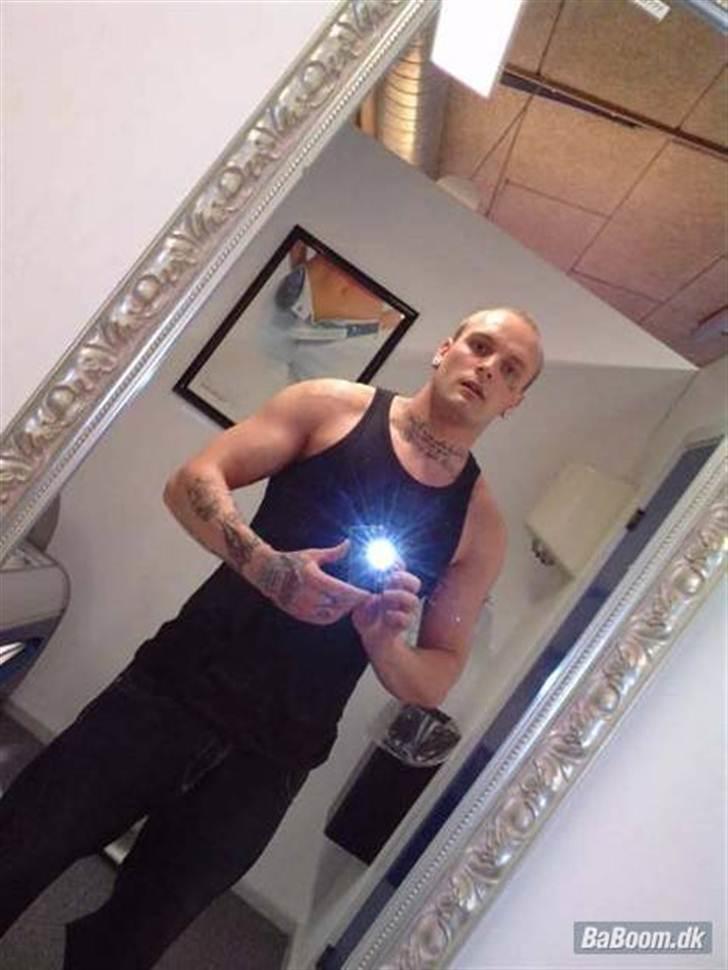 Mand Nikolaj billede 4