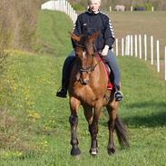 Kvinde Løjse Brinkmann Røge Christensen