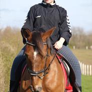 Kvinde Løjse Brinkmann Røge Christensen