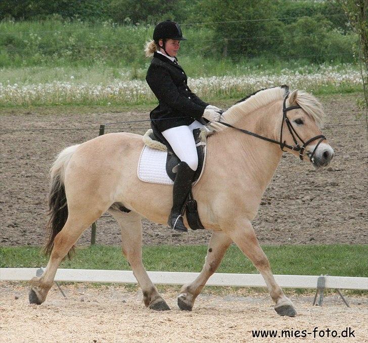 Kvinde Melissa billede 15