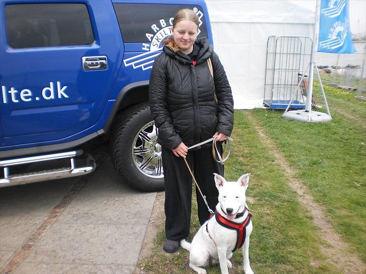 Mand Dan Andersen - min kæreste og vores dejlige hund  billede 9