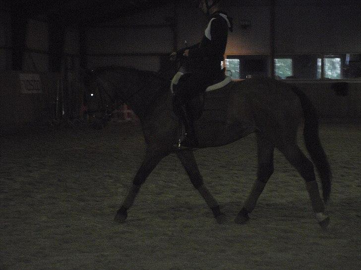 Mand Kim Pedersen! (: - Tilridning af min egen unghest på 3 år, her har jeg redet den 5 gange efter rytter tilvending!  billede 15