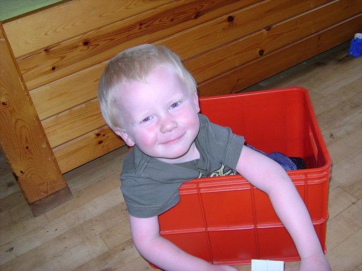 Mand glenn nielsen billede 8