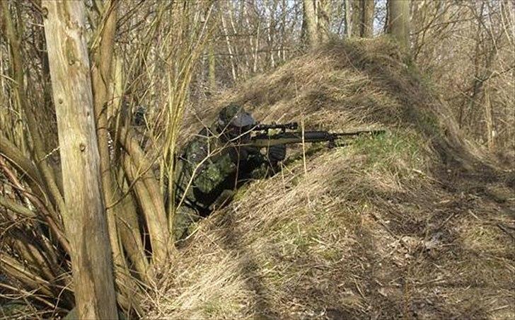 Mand Pandrup billede 13