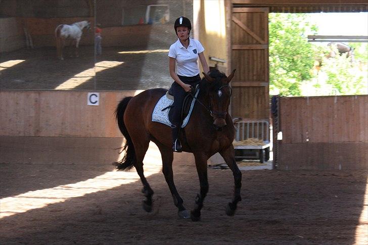 Kvinde Tea B. Hansen billede 5