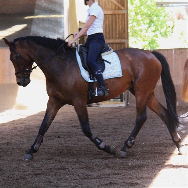 Kvinde Tea B. Hansen billede 6