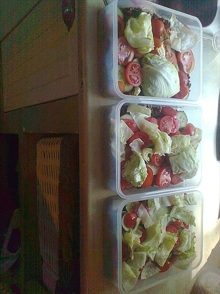 Mand ham selv - 3 dages mad pakker.   1 kg kød, og 1 kg grønsager om dagen.

masser af protein, og begrænset kylhydrater.  godt for vægten. billede 3