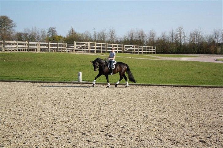 Kvinde linda billede 7