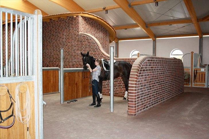 Kvinde linda billede 8